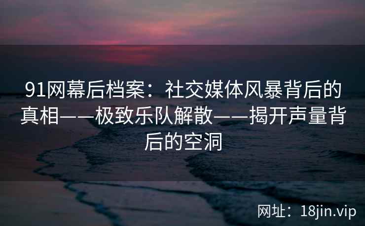 91网幕后档案：社交媒体风暴背后的真相——极致乐队解散——揭开声量背后的空洞