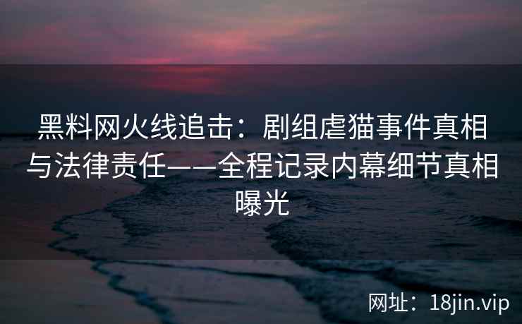 黑料网火线追击：剧组虐猫事件真相与法律责任——全程记录内幕细节真相曝光