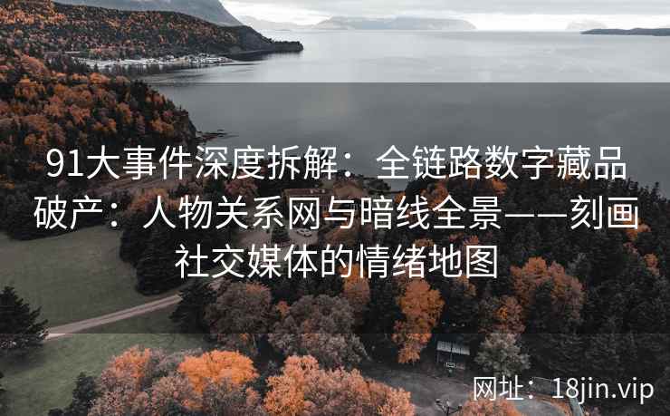91大事件深度拆解:全链路数字藏品破产:人物关系网与暗线全景——刻画社交媒体的情绪地图 91大事件深度拆解:全链路数字藏品破产:人物关系网与暗线全景——刻画社交媒体的情绪地图